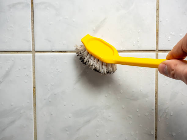 Best Local Mold Removal Service  in West Easton, PA